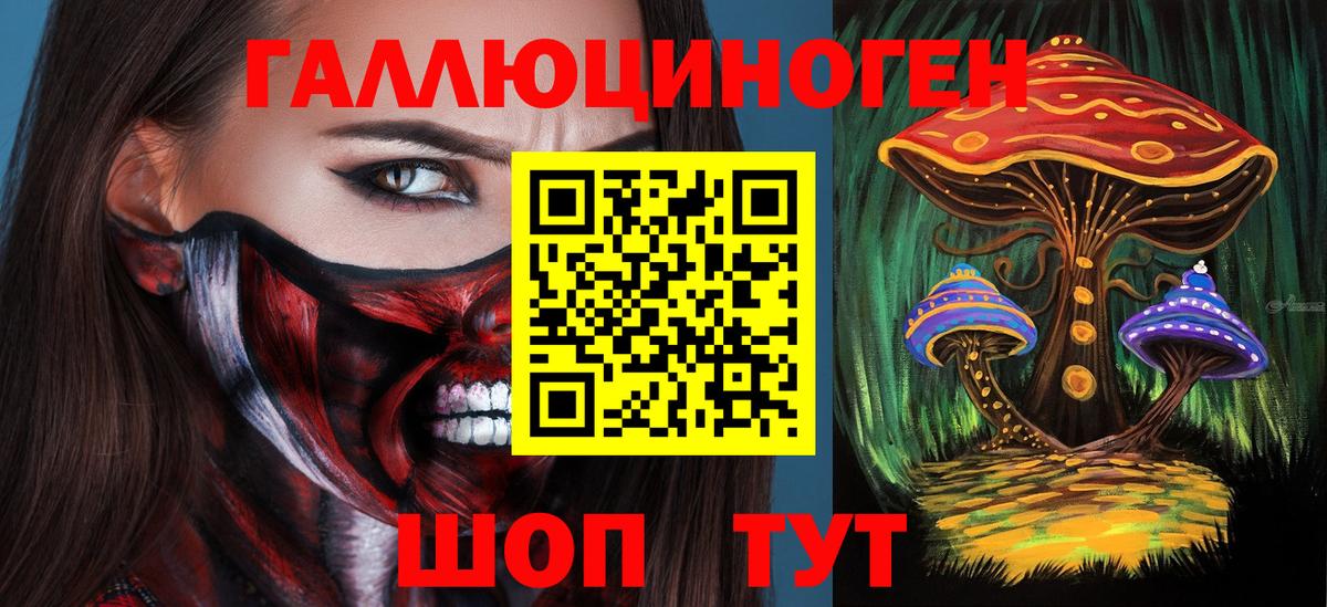 купить наркоту  Галлюциногенные грибы Psilocybe  Вход с VPN  Псилоцибиновые грибы мухоморы  Георгиевск 