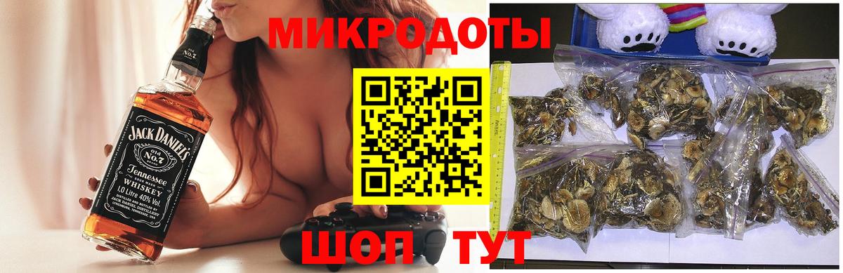 Галлюциногенные грибы Cubensis Георгиевск